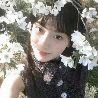 口碑佳作