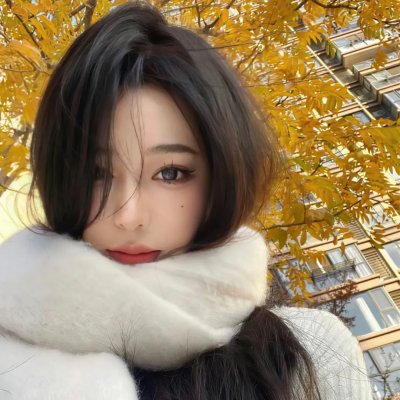 雪之断章 在线观看